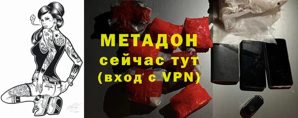 хмурый Аркадак