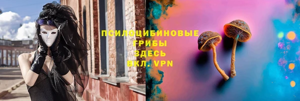 индика Арсеньев