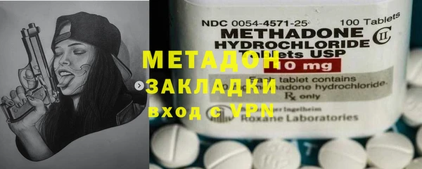 индика Арсеньев
