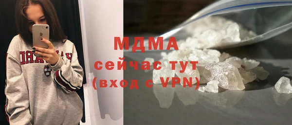 хмурый Аркадак