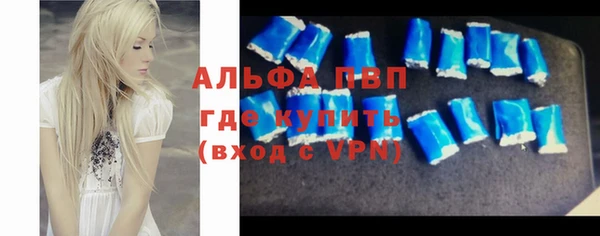 хмурый Аркадак