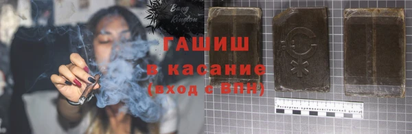 индика Арсеньев