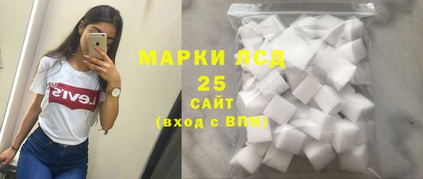 хмурый Аркадак