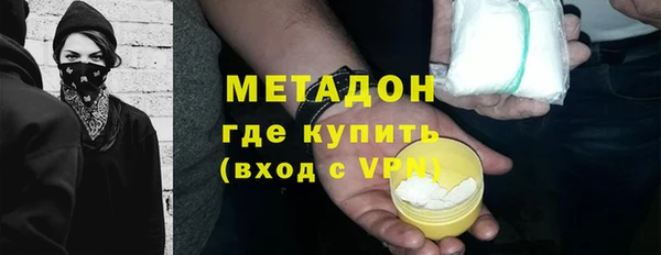 хмурый Аркадак