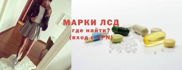 хмурый Аркадак