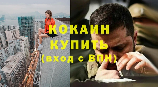 хмурый Аркадак
