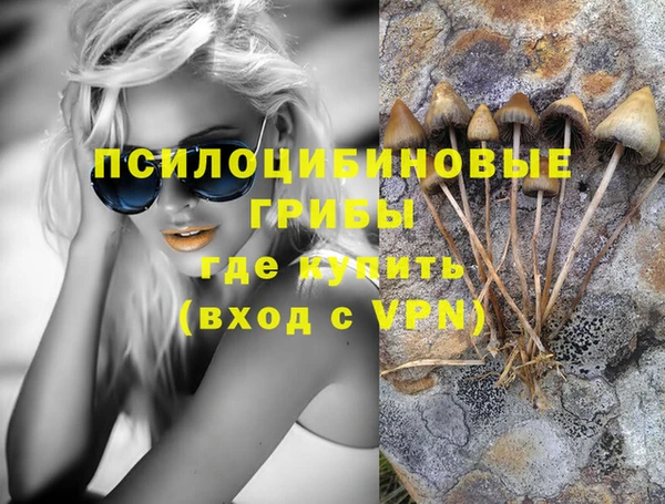 индика Арсеньев
