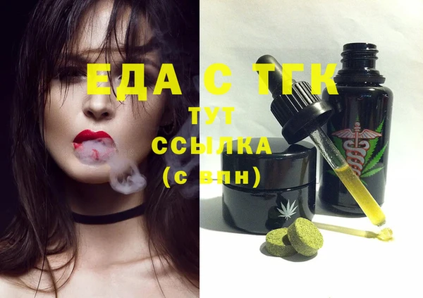 индика Арсеньев