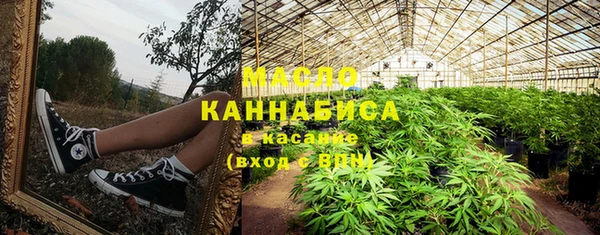 хмурый Аркадак