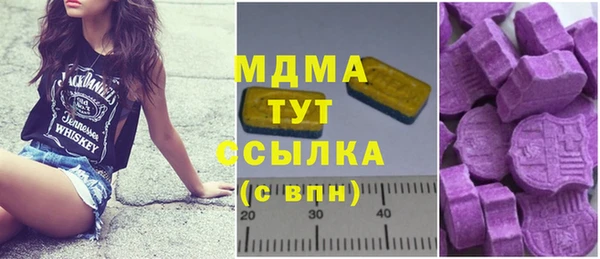 хмурый Аркадак