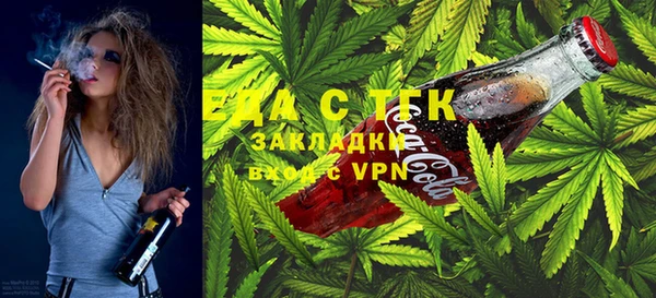 хмурый Аркадак