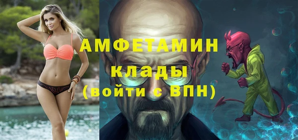 хмурый Аркадак
