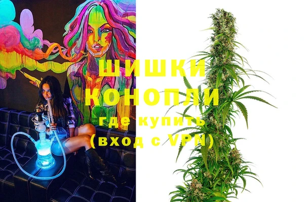 индика Арсеньев