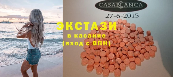 индика Арсеньев